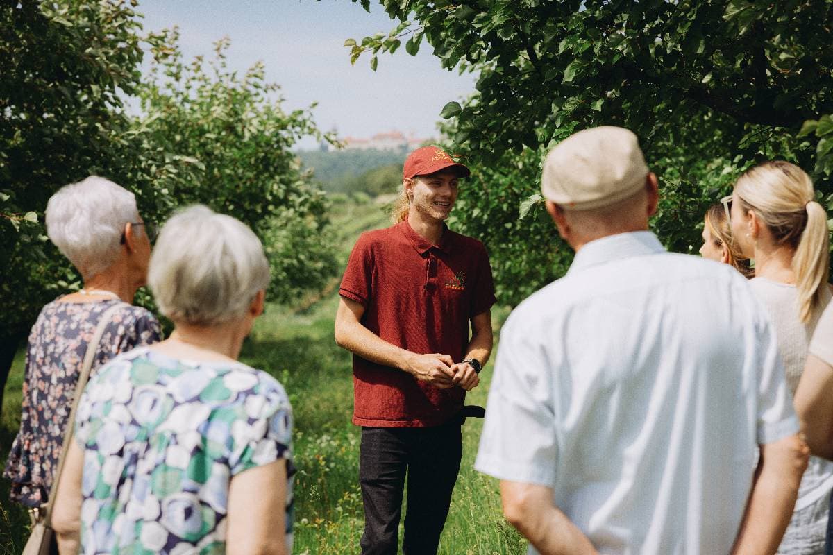 Lillis Marillengarten