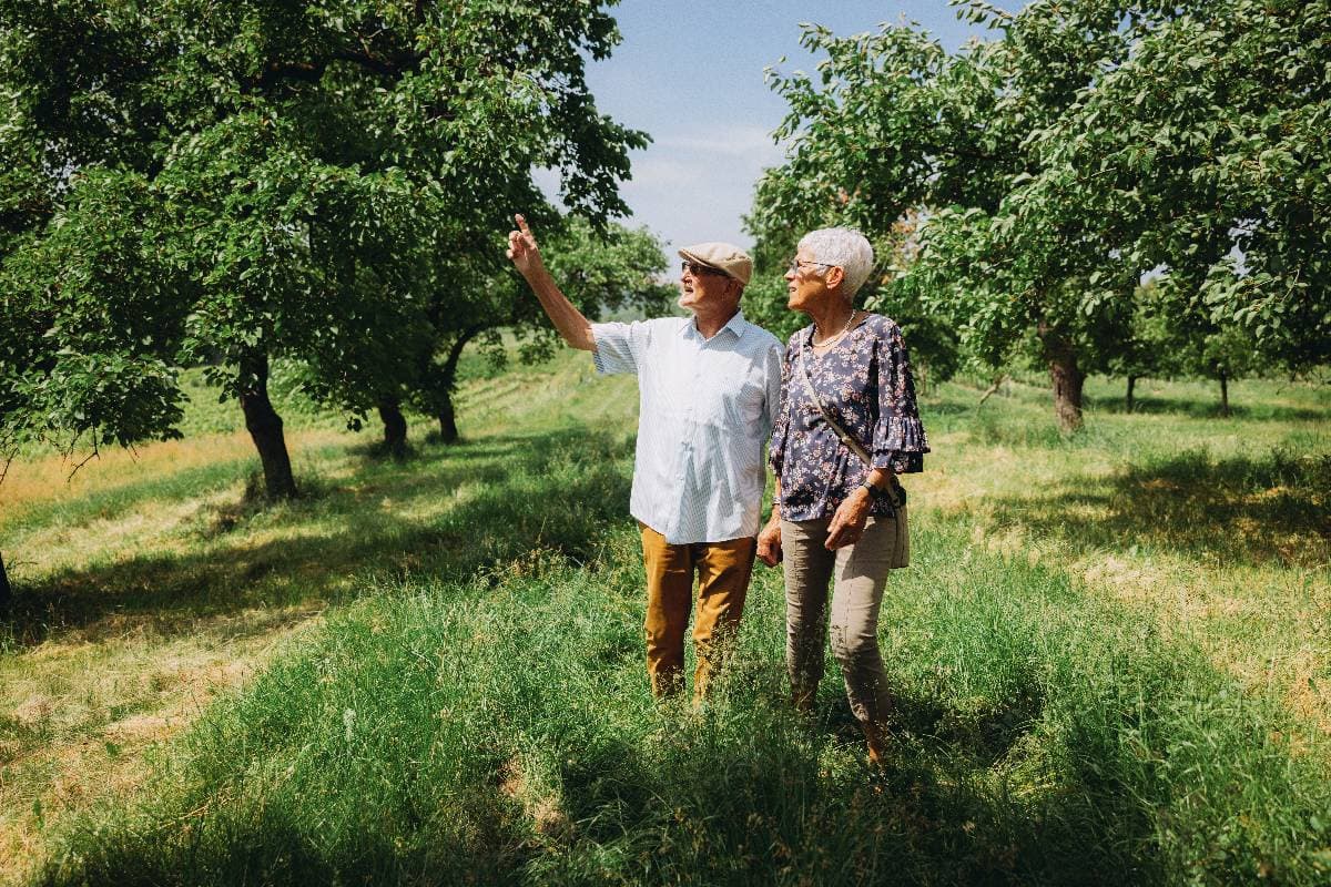Wachauer Marillen Erlebnisweg