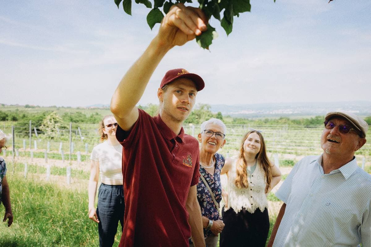 Für jede Gruppe passend