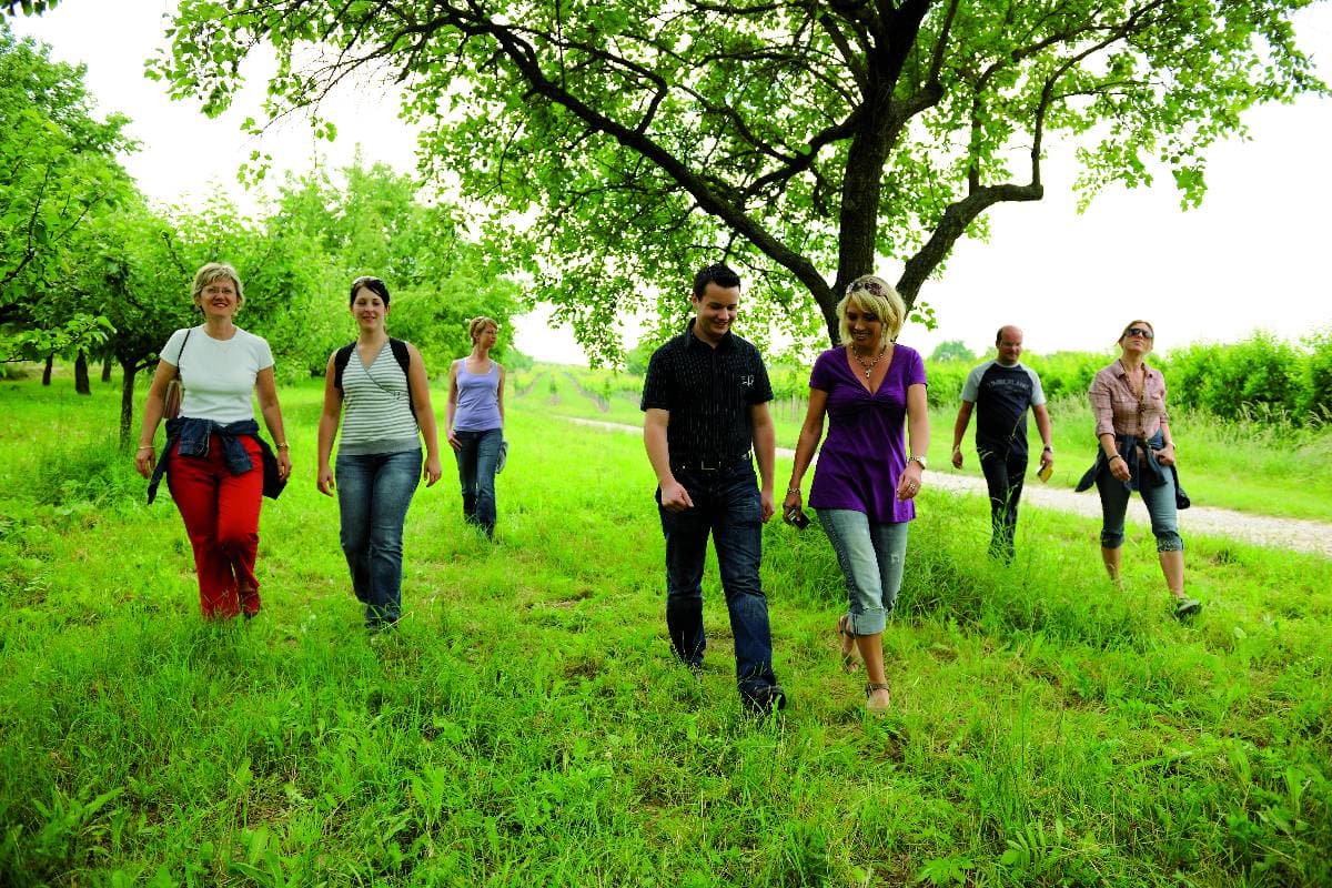 Führungen & Verkostungen