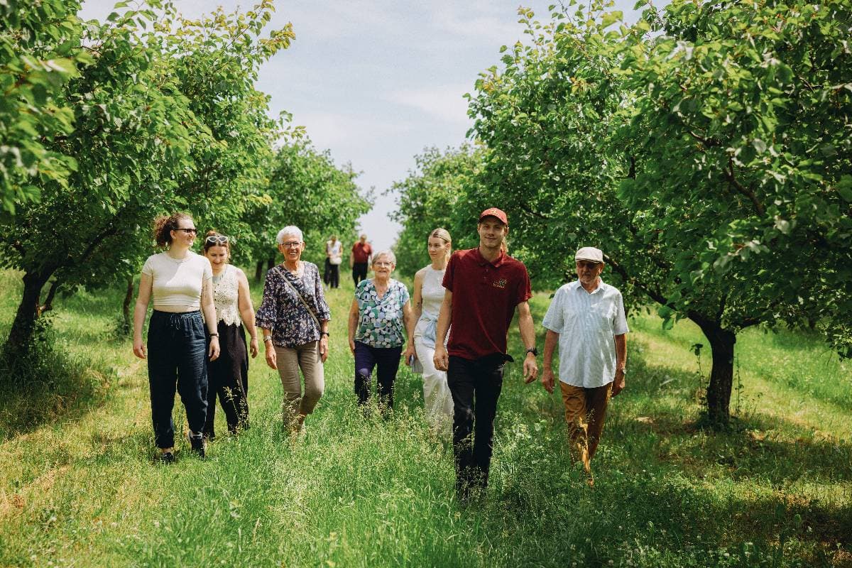 Gruppenangebote aus einer Hand